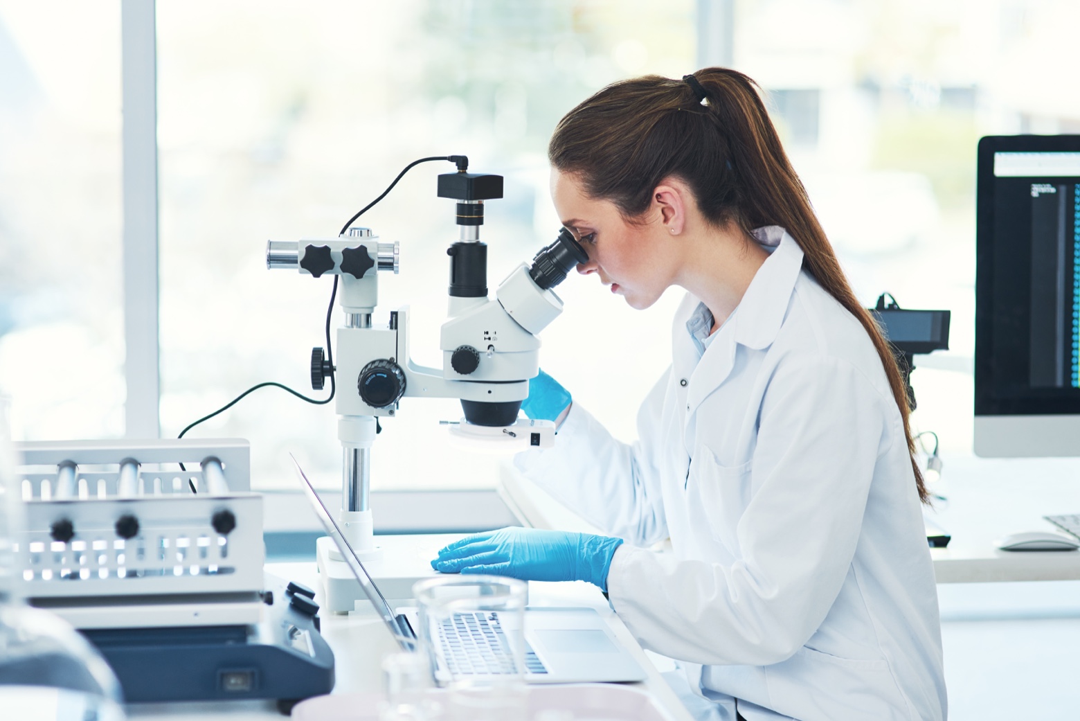 Imagen para: La inmunoterapia como tratamiento contra el cáncer: todo lo que tienes que saber