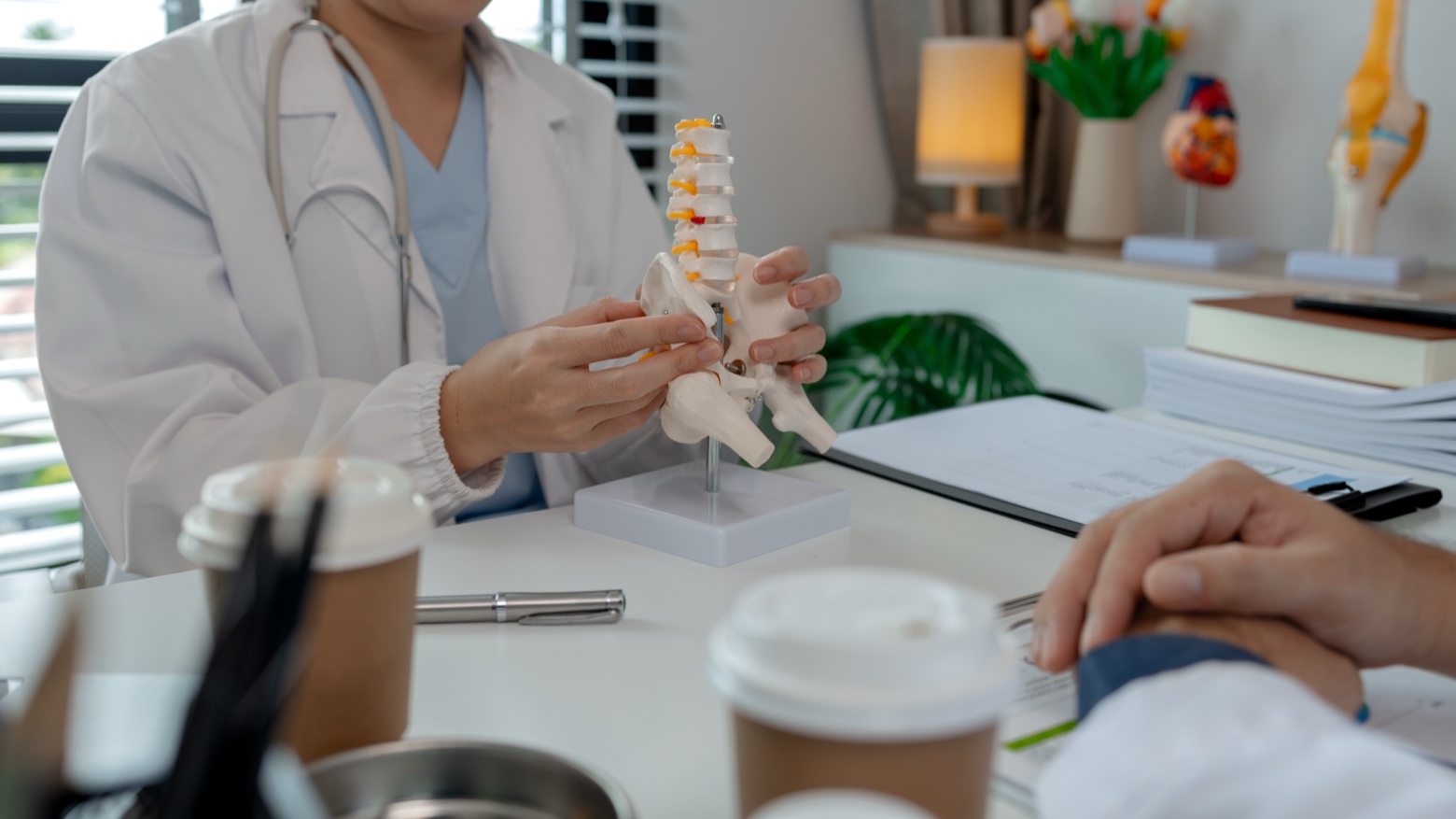 Imagen para: ¿Qué debes saber del prolapso uterino y otros prolapsos genitales?