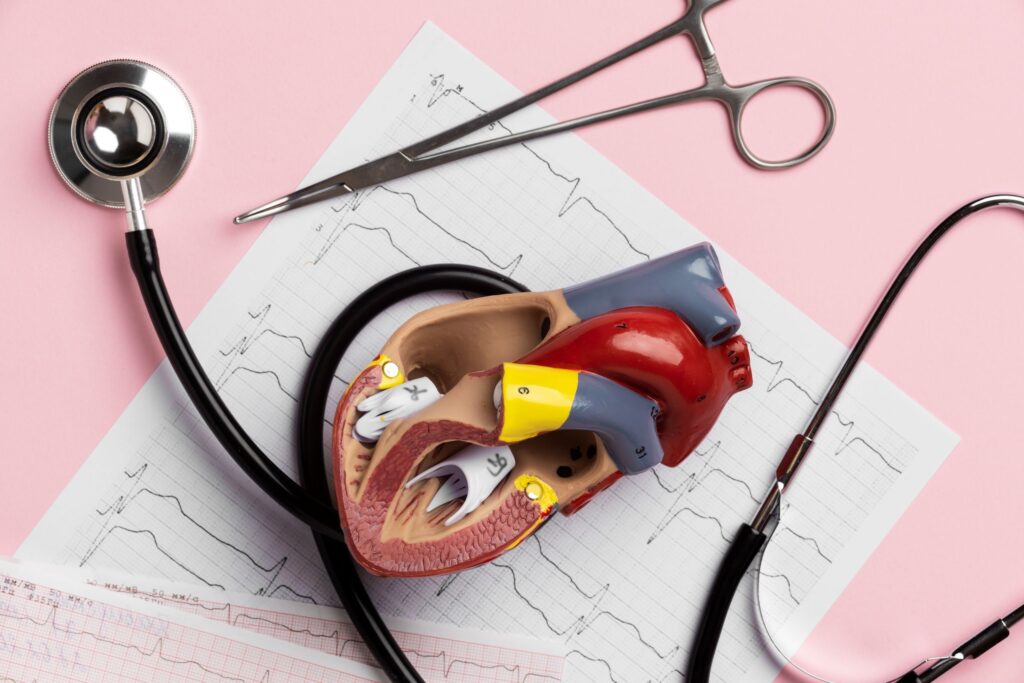 Corazón de plástico sobre una mesa. Prolapso mitral, afección cardíaca que afecta al corazón