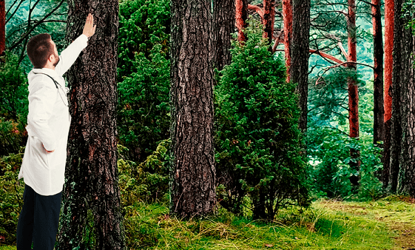 Imagen para: Por una buena causa, nos cambiamos de color