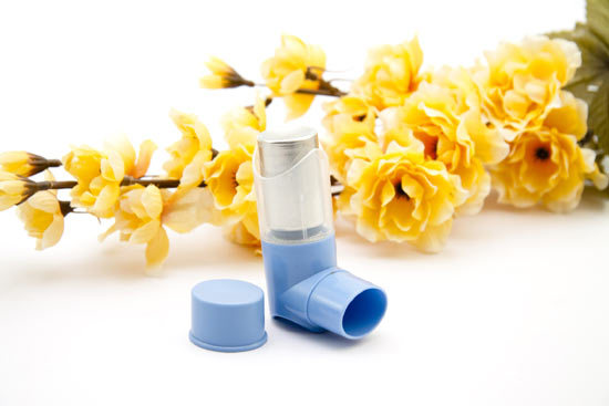 Imagen para: Asma y alergia, en muchas ocasiones de la mano