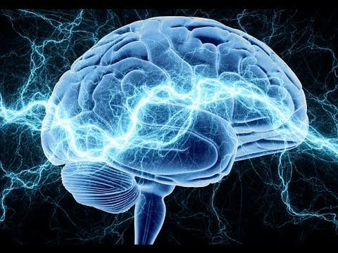 Imagen para: ¿Cómo funciona el cerebro?