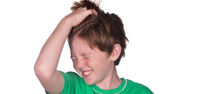 Imagen para: Gana la batalla a los piojos