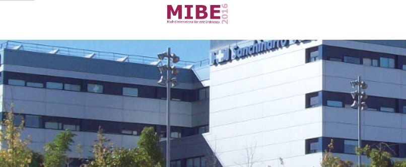 Imagen para: International Bariatric Endoscopy MIBE 2016