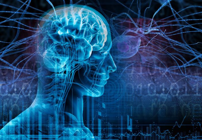 Imagen para: HM Madrid ya cuenta con Servicio de Neurofisiología