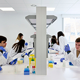 Estancias formativas 2. Estudiantes de medicina realizando prácticas en un laboratorio.