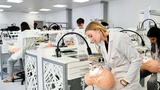 Estudiantes de medicina realizando prácticas con maquetas del cuerpo humano.