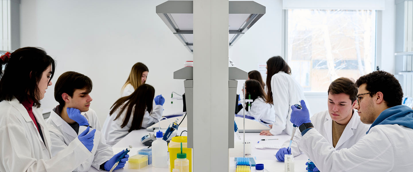 Cabecera formativa 04