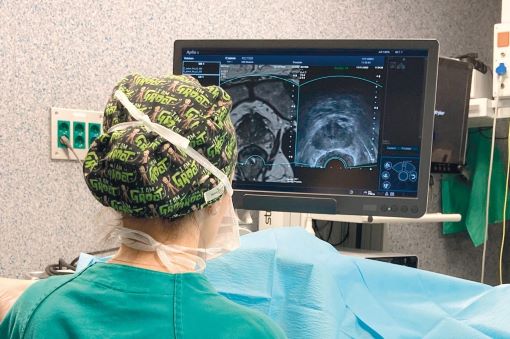 Imagen para: El Hospital Universitario de Puerto Real de Cádiz se forma con el Servicio de Urología de HM Modelo en la realización de biopsias de fusión para la detección de cáncer de próstata