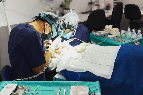 HM Gálvez lidera la revolución en tratamientos de injerto capilar con su equipo Meyer & Alcaide