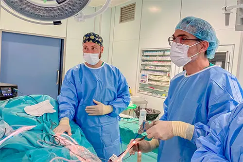 Imagen para: El Hospital HM Málaga alcanza un nuevo hito en la especialización quirúrgica avanzada al culminar con éxito una cirugía de pared abdominal con la técnica e-TAR