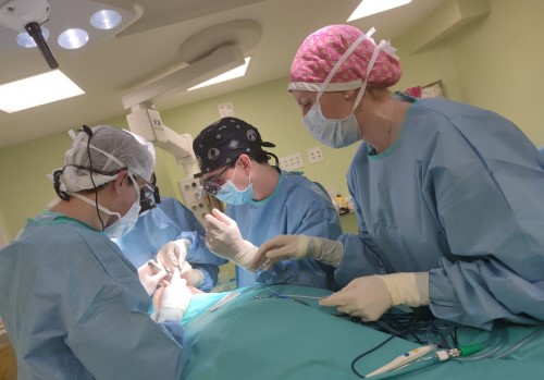 Imagen para: HM CIOCC Barcelona y HM Nou Delfos abanderan el autotrasplante como técnica rápida y eficiente en la reconstrucción de la mama de las pacientes con cáncer