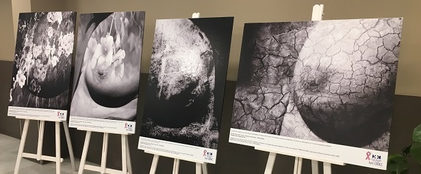 HM Delfos alberga una exposición itinerante de fotografías con motivo del mes de sensibilización del cáncer de mama