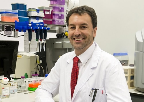 Imagen para: Un estudio demuestra que se puede conseguir información molecular sobre tumores cerebrales con un análisis de sangre