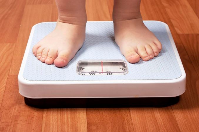 El 15% de los niños españoles son obesos