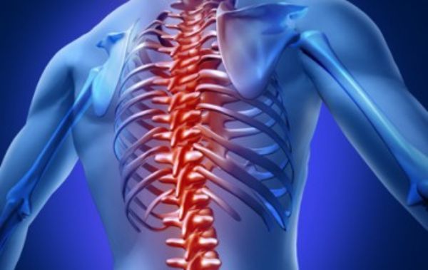 Imagen para: IV Curso de Actualización de Patologías de Columna Lumbar