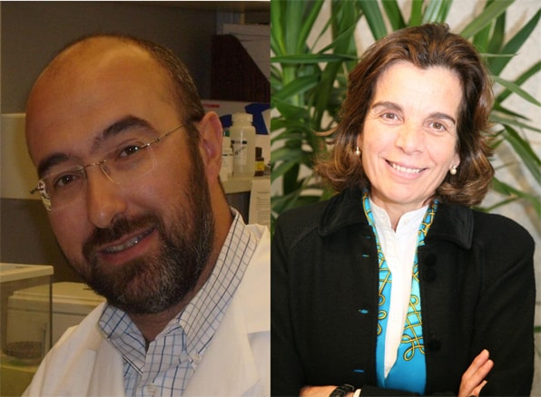 Imagen para: Balance de 2011 muy positivo para el CIOCC, con 2.300 pacientes nuevos y 330 tratados en ensayos clínicos