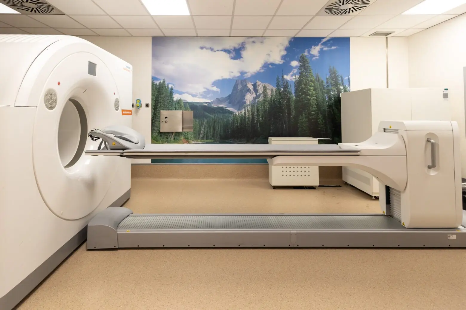 Imagen para: _S236622