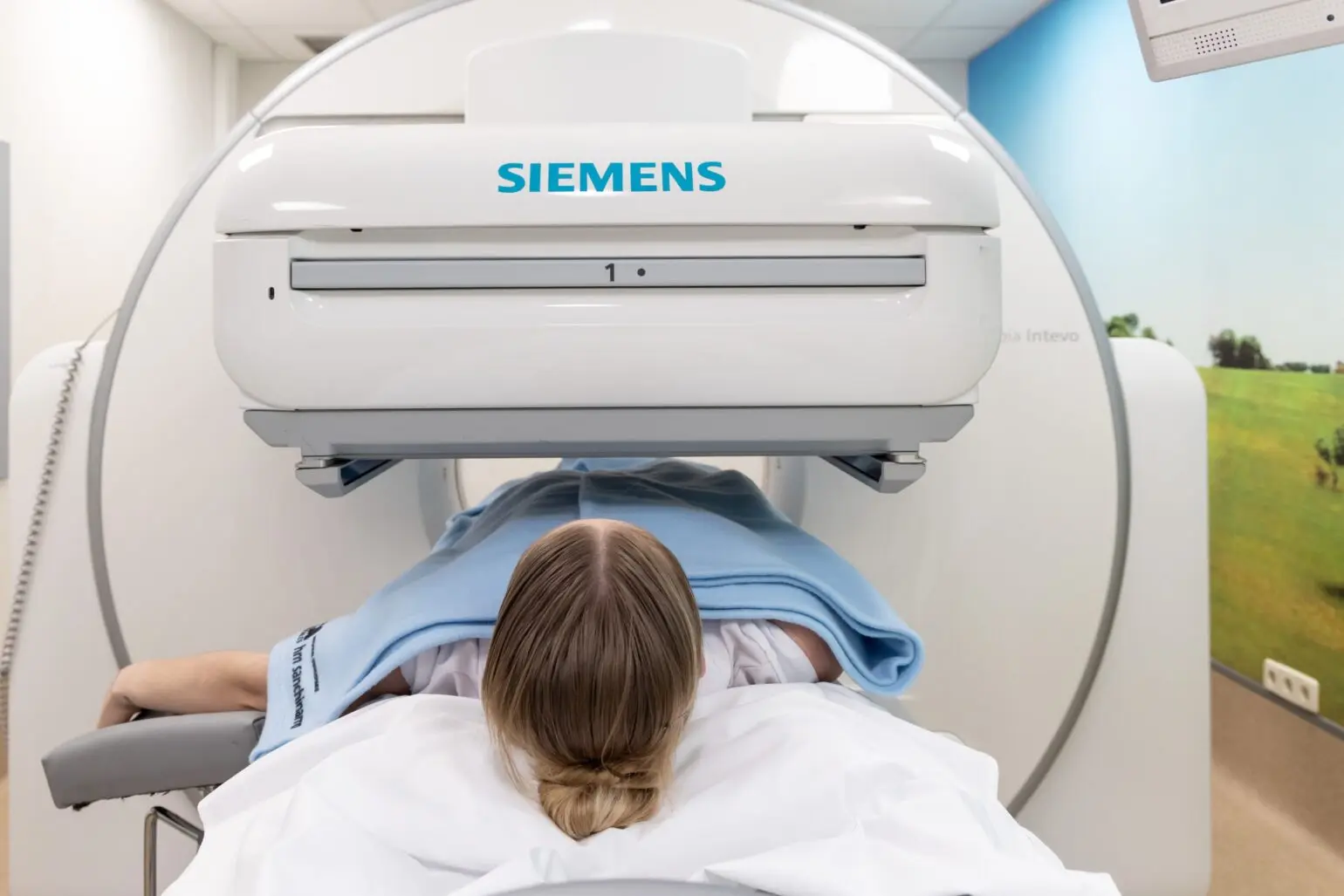 Imagen para: _S236672