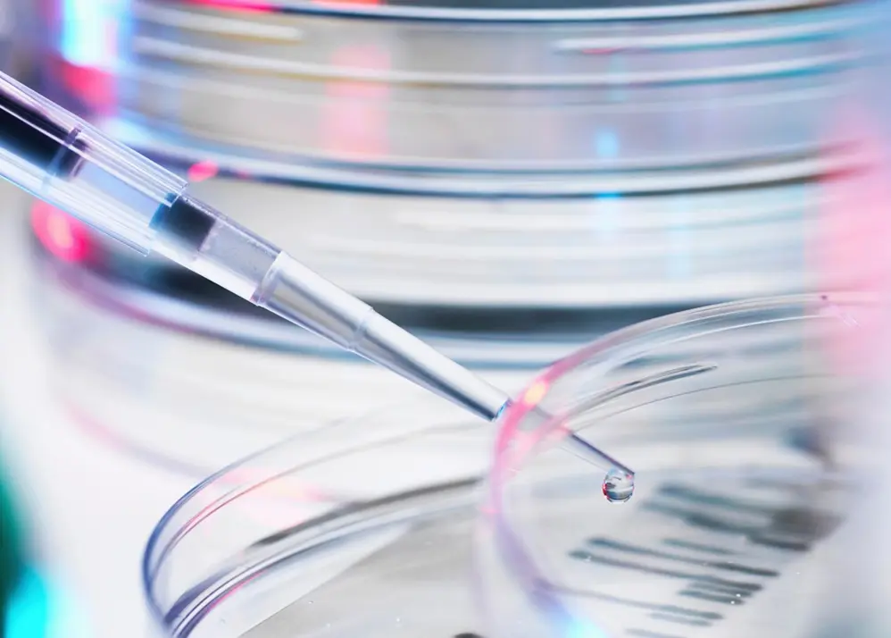 Imagen para: II Congreso de Sanidad de la AEC