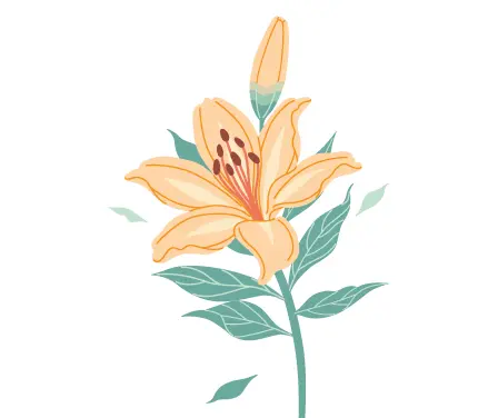 Imagen para: Jornada de salud de la mujer. Observatorio de la menopausia. HM Hospitales