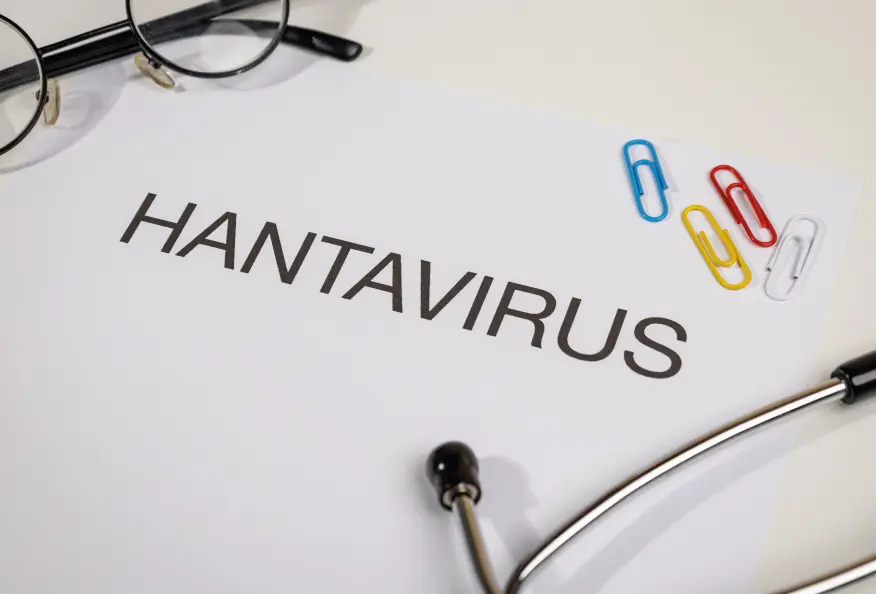 Imagen para: Hantavirus: qué es, cómo se contagia y síntomas de alerta