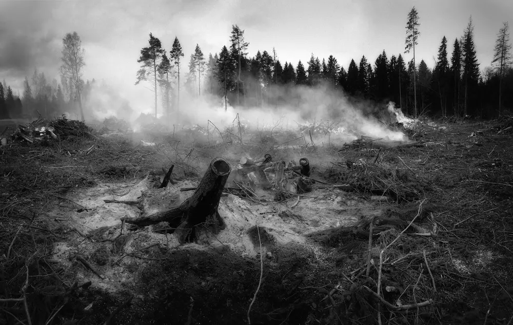 Imagen para: Los neumólogos de HM Hospitales recuerdan la importancia de protegerse frente al humo de los incendios forestales