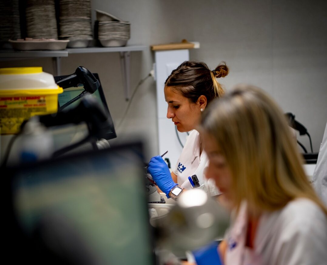 F2426a082ed7d6018c35c2522d59ab23f54dcea5