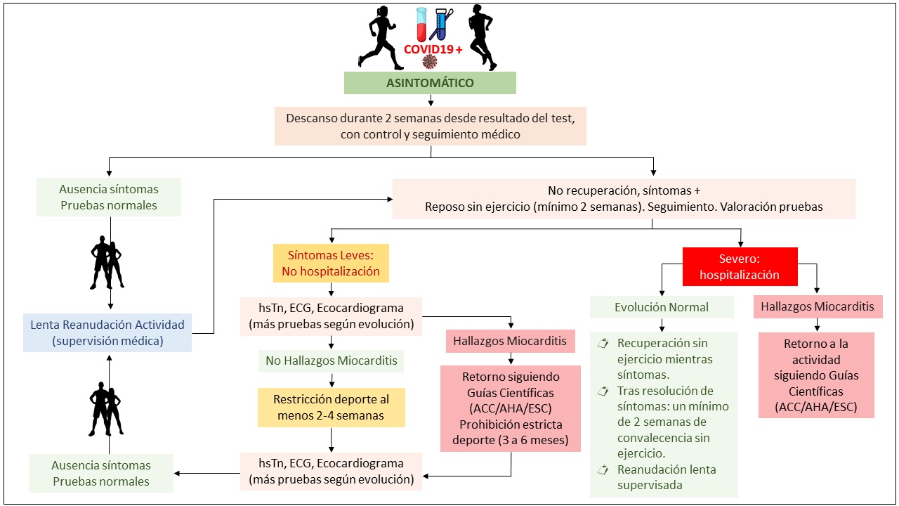 Imatge per a: Esport després de la COVID-19