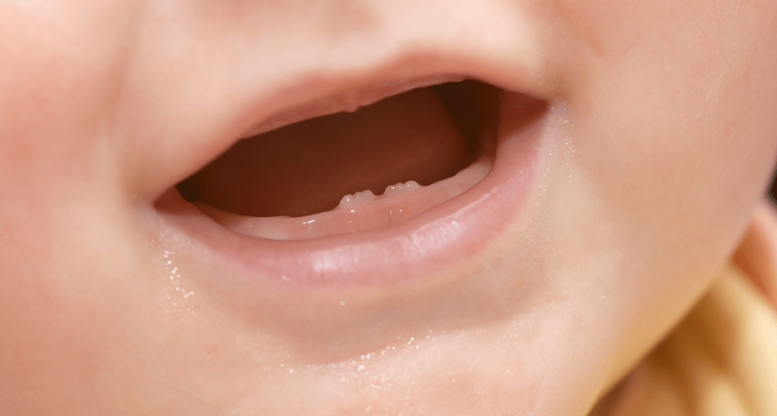 Imagen para: ¿Qué debemos saber sobre los primeros dientes?