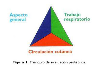 Imagen para: El triaje en Urgencias
