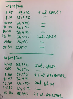 Imatge per a: Febre i mites. Quan consultem al pediatra?