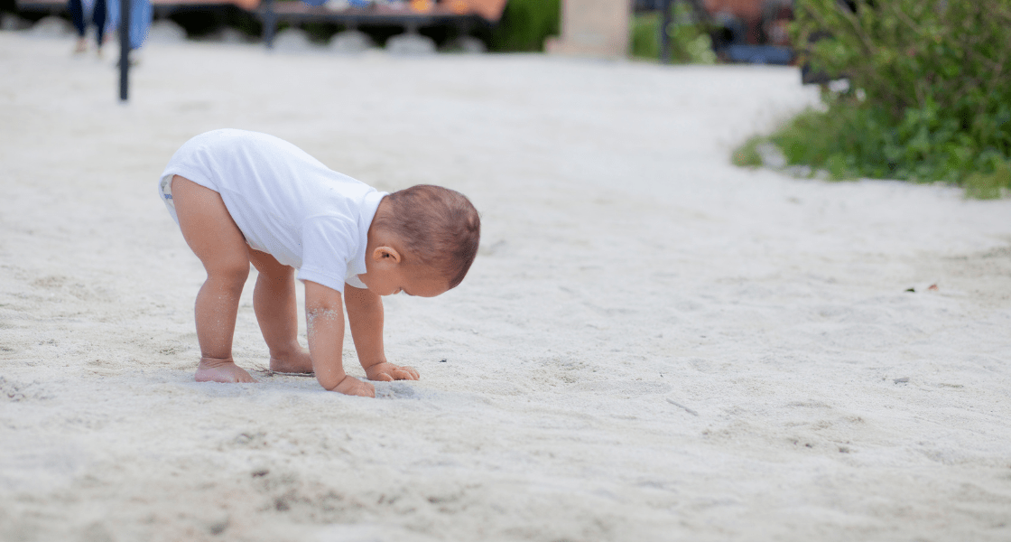 Imagen para: ¿Cuáles son los hitos del desarrollo al primer año?