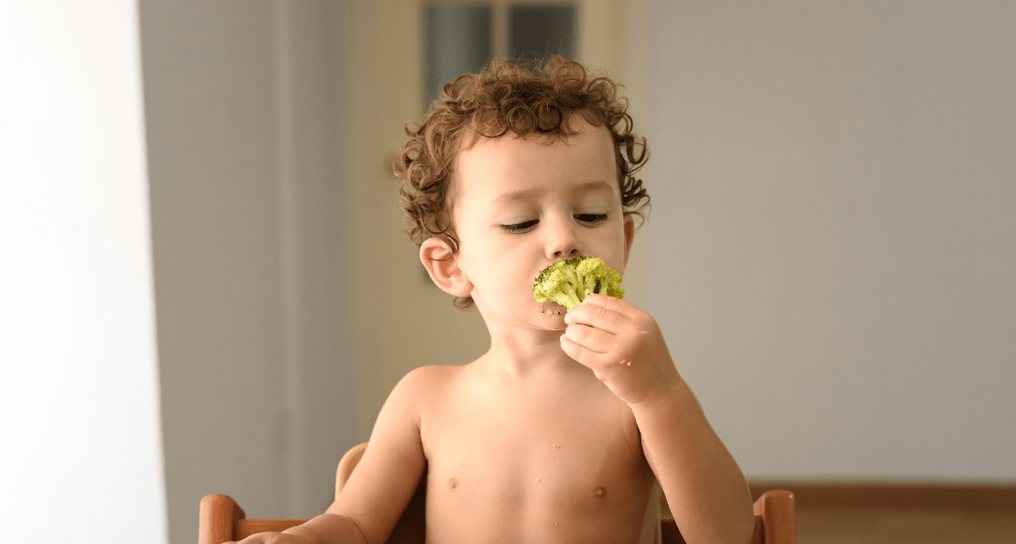 Imagen para: ¿Por qué los niños de 24 meses suelen dejar de comer y cómo enfrentarlo?