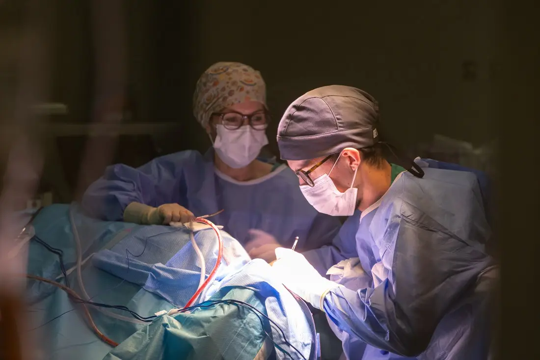 Profesionales sanitario en quirofano de hm hospitales