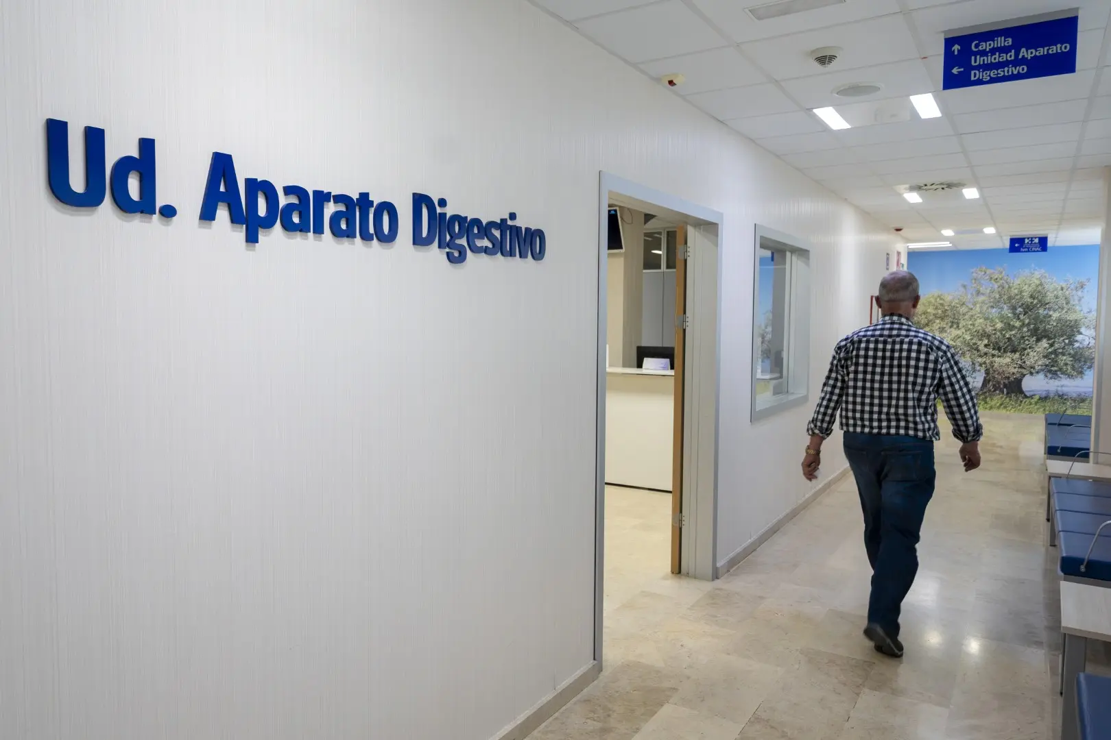 Hm puerta del sur 41 digestivo