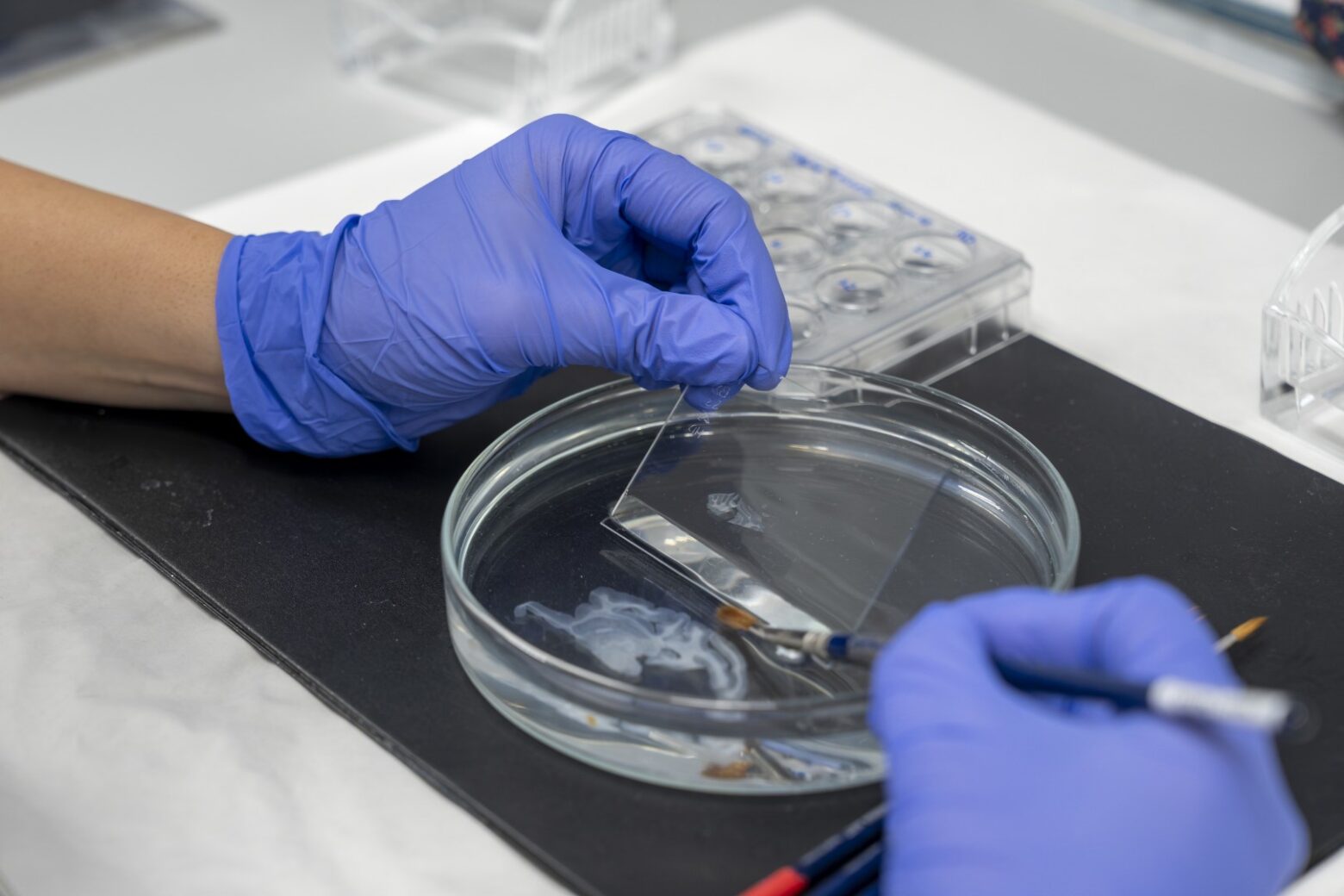 Hm puerta del sur 7 hm cinac (5)